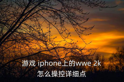 游戏 iphone上的wwe 2k怎么操控详细点