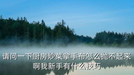 请问一下厨房炒菜拿手布怎么抛不起来啊我新手有什么技巧