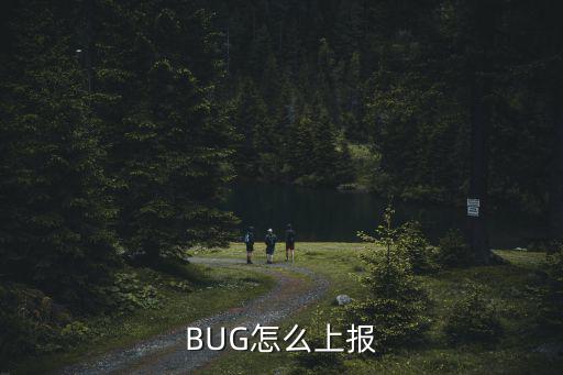 BUG怎么上报