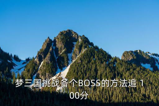 梦三国挑战各个BOSS的方法追 100分