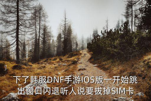 下了韩服DNF手游IOS版一开始跳出窗口闪退听人说要拔掉SIM卡