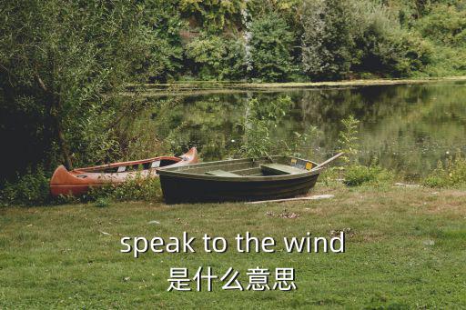 speak to the wind是什么意思