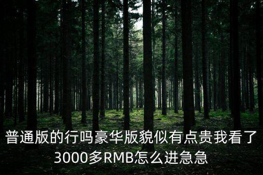 普通版的行吗豪华版貌似有点贵我看了3000多RMB怎么进急急