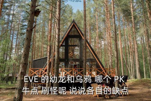 EVE 的幼龙和乌鸦 哪个 PK 牛点 刷怪呢 说说各自的缺点