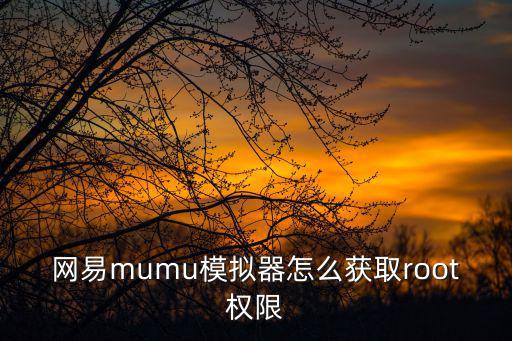 网易mumu模拟器怎么获取root权限