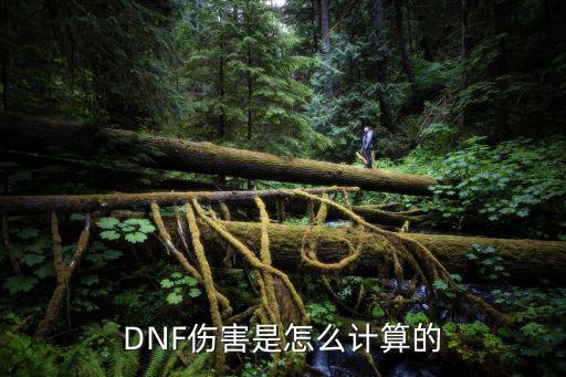 DNF伤害是怎么计算的