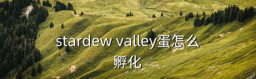 stardew valley蛋怎么孵化