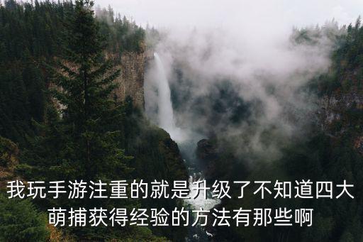 我玩手游注重的就是升级了不知道四大萌捕获得经验的方法有那些啊