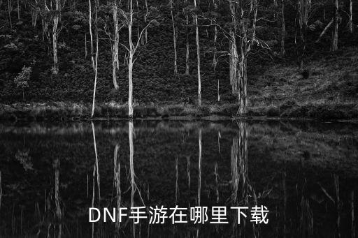 DNF手游在哪里下载