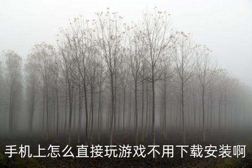 手机上怎么直接玩游戏不用下载安装啊