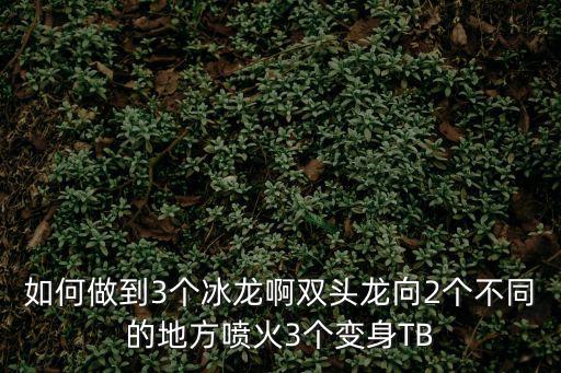 如何做到3个冰龙啊双头龙向2个不同的地方喷火3个变身TB