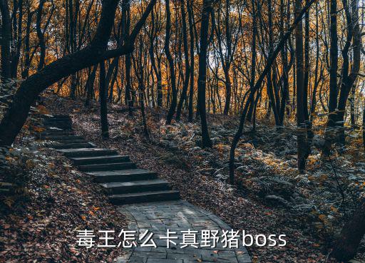 毒王怎么卡真野猪boss