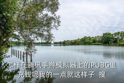 怎样在腾讯手游模拟器上的PUBG里充钱呢我的一点就这样子  搜