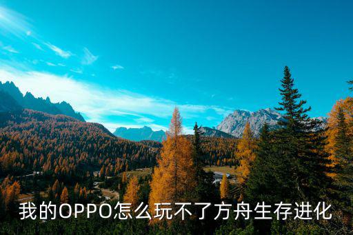 我的OPPO怎么玩不了方舟生存进化