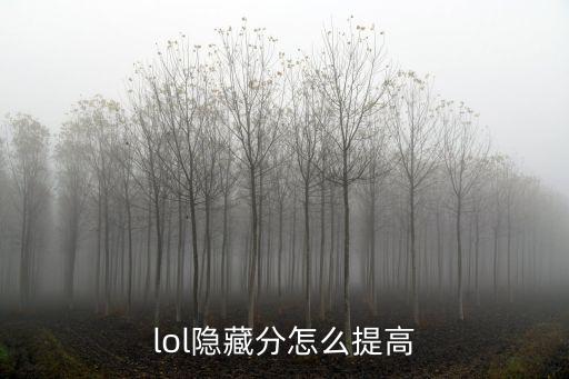 lol隐藏分怎么提高