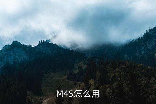 M4S怎么用