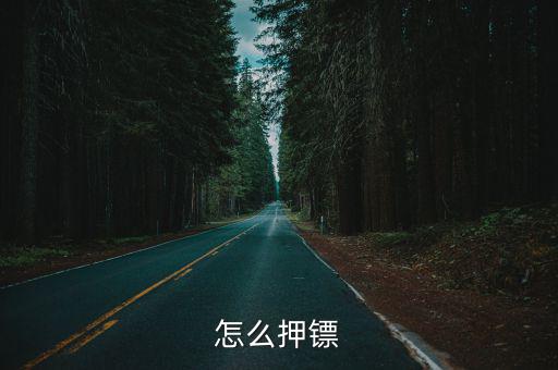 怎么押镖