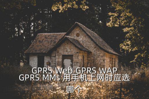 GPRS Web GPRS WAPGPRS MMs 用手机上网时应选哪个