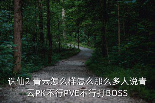 诛仙2 青云怎么样怎么那么多人说青云PK不行PVE不行打BOSS