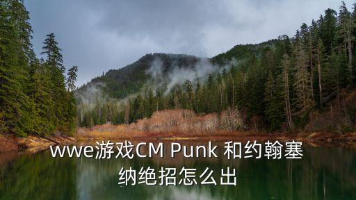 wwe游戏CM Punk 和约翰塞纳绝招怎么出