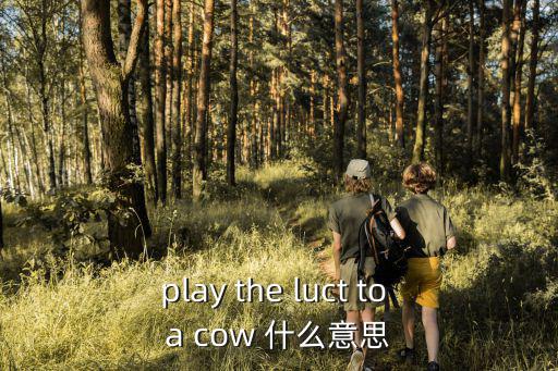 play the luct to a cow 什么意思