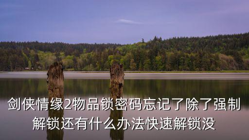 剑侠情缘2物品锁密码忘记了除了强制解锁还有什么办法快速解锁没