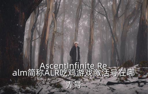 AscentInfinite Realm简称ALR吃鸡游戏激活号在哪弄号