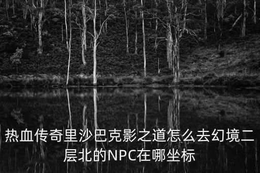 热血传奇里沙巴克影之道怎么去幻境二层北的NPC在哪坐标