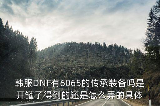 韩服DNF有6065的传承装备吗是开罐子得到的还是怎么弄的具体