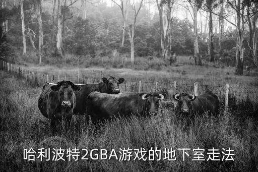 哈利波特2GBA游戏的地下室走法