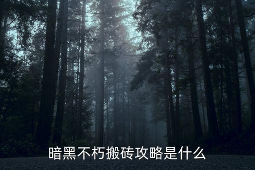 暗黑不朽搬砖攻略是什么