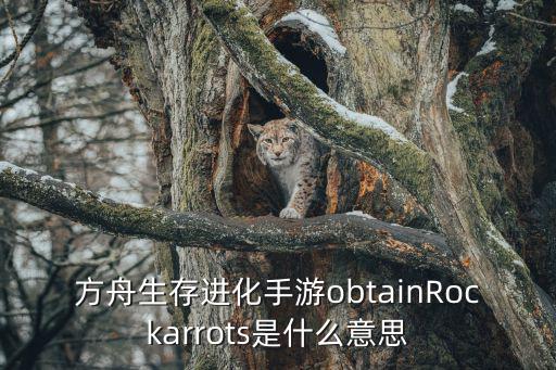 方舟生存进化手游obtainRockarrots是什么意思