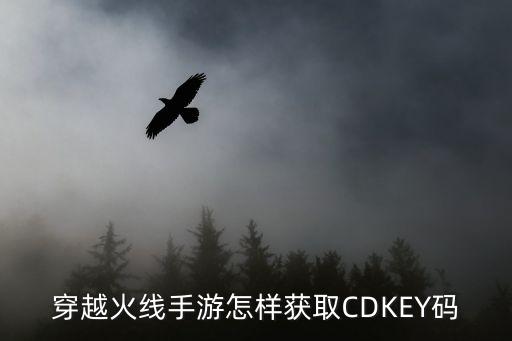 cdkey怎么获得cf手游，穿越火线手游cdk怎么获得