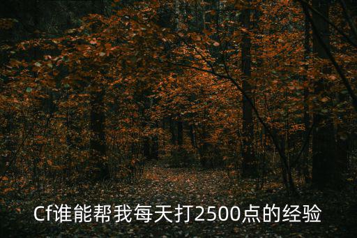 Cf谁能帮我每天打2500点的经验