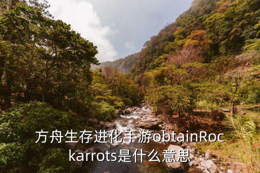 方舟生存进化手游obtainRockarrots是什么意思