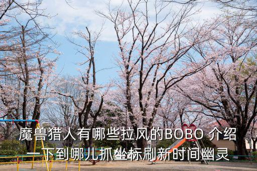 魔兽猎人有哪些拉风的BOBO 介绍一下到哪儿抓坐标刷新时间幽灵