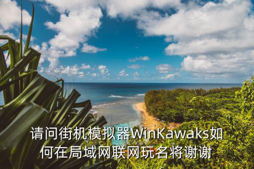 请问街机模拟器WinKawaks如何在局域网联网玩名将谢谢