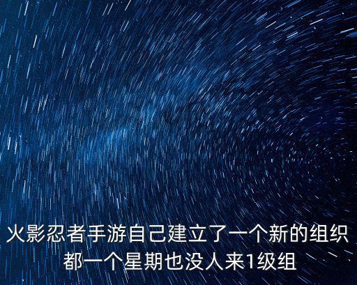 火影忍者手游自己建立了一个新的组织 都一个星期也没人来1级组