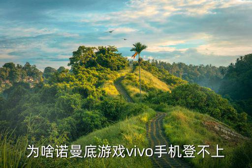 为啥诺曼底游戏vivo手机登不上