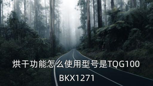 烘干功能怎么使用型号是TQG100BKX1271