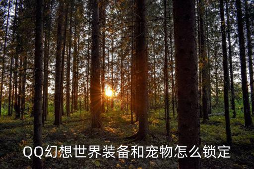 QQ幻想世界装备和宠物怎么锁定