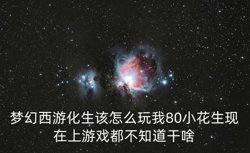 梦幻西游化生该怎么玩我80小花生现在上游戏都不知道干啥