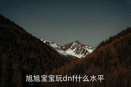 旭旭宝宝玩dnf什么水平