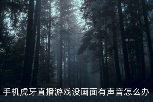 手机虎牙直播游戏没画面有声音怎么办