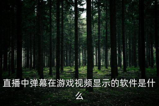 直播中弹幕在游戏视频显示的软件是什么