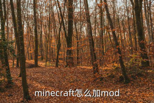 minecraft怎么加mod