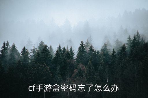 cf手游盒密码忘了怎么办