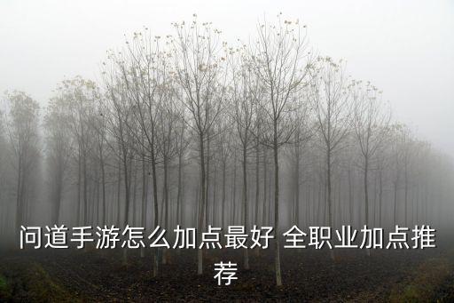 问道手游怎么加点最好 全职业加点推荐