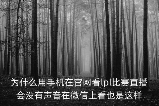 为什么用手机在官网看lpl比赛直播会没有声音在微信上看也是这样