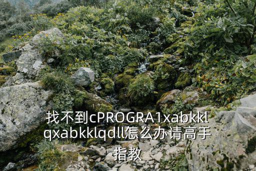 找不到cPROGRA1xabkklqxabkklqdll怎么办请高手指教